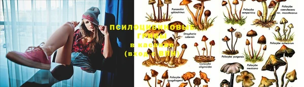 амф Алексеевка